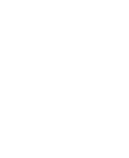 ícone de entrada