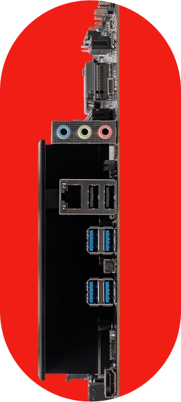 Detalhe Oval 4