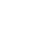 ícone 1