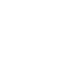 ícone 3