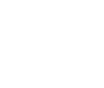 ícone 3