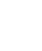 ícone 2