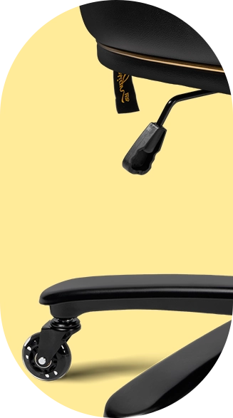 Detalhe Oval 4