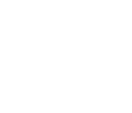 ícone 1