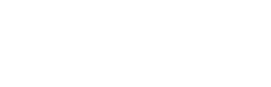 Logo velvet
