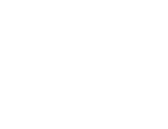 Logo da raquete