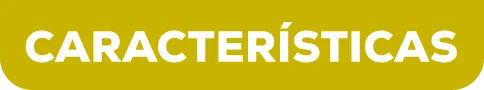 logo de características
