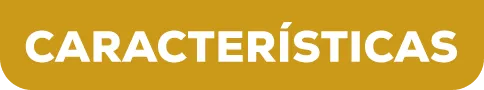 logo de características