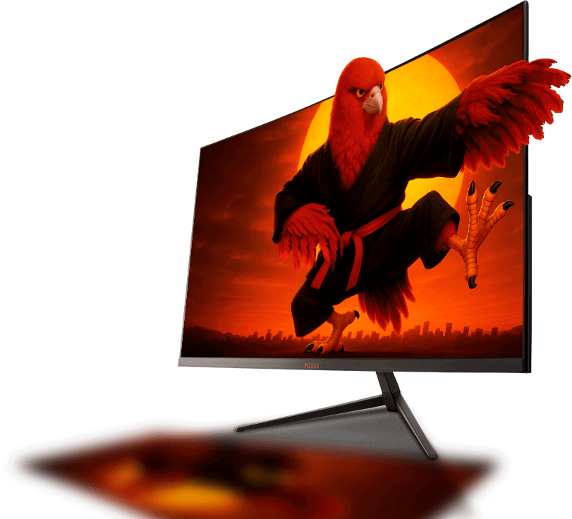 Foto do monitor