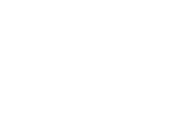 Logo Monitor