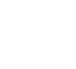 ícone 4