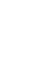 ícone 2