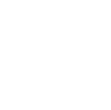 ícone 2