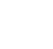 ícone 4