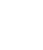 ícone 1