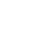ícone 1