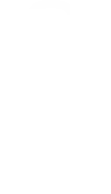 ícone 1