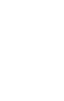 ícone 2