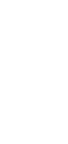 ícone 3