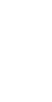 ícone 2