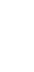 ícone 1