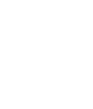 ícone 2