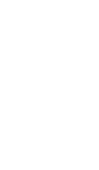 ícone 1