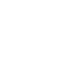 ícone 3