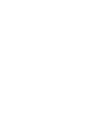 ícone 3