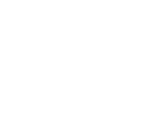 ícone 2