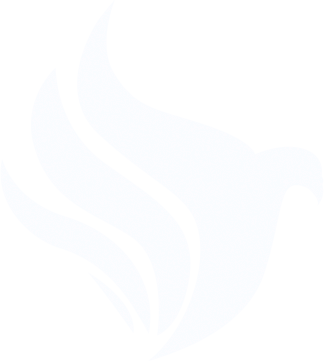 Logo pichau