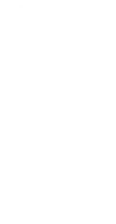 Logo do energético