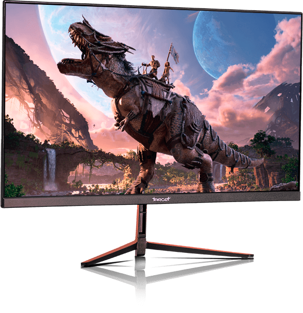 Foto do Monitor