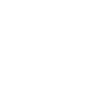 ícone 4