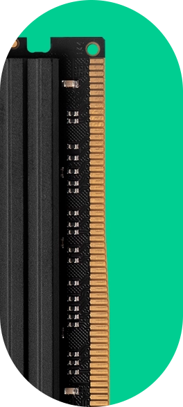 Detalhe Oval 3