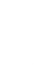 ícone 1