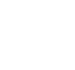 ícone 1