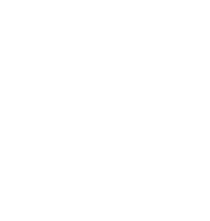 Logo Mancer Rx 5600 XT
