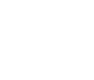 ícone 2