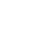 ícone 3