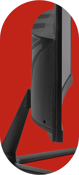 Detalhe Oval 3