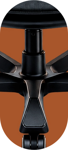 Detalhe Oval 3