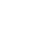 ícone 1