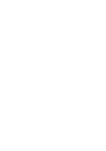 ícone 1