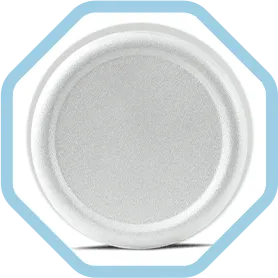 ícone 2