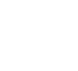 ícone 4