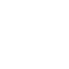 ícone 2