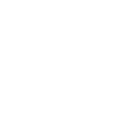 ícone 1