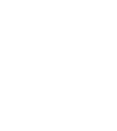 ícone 1