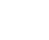 ícone 3